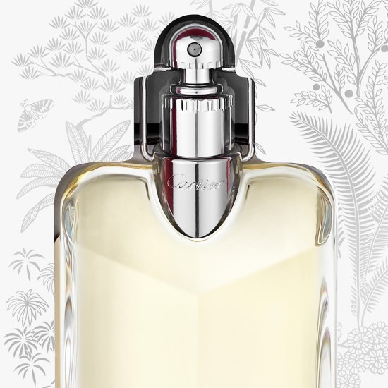 مجموعة كارتييه ديكلاريشن  Cartier Declaration EDT & Shower Gel 